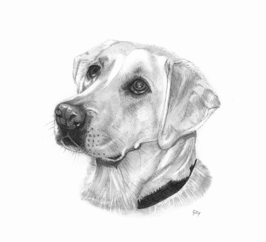 Pencil artwork titled Waiting for a Treat.